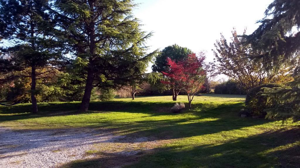 Al Campo Di Sotto Bed & Breakfast Buia Eksteriør billede