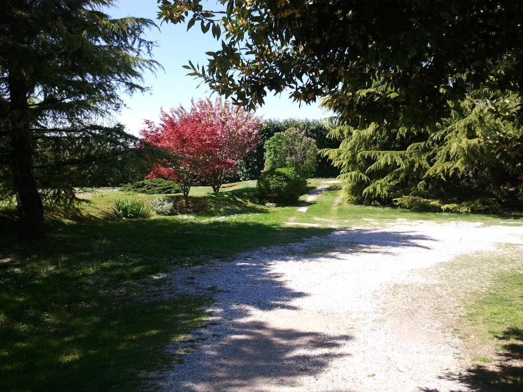 Al Campo Di Sotto Bed & Breakfast Buia Eksteriør billede